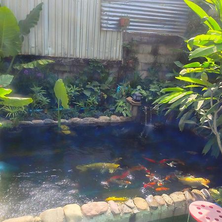 Vang Vieng Champa Hotel エクステリア 写真
