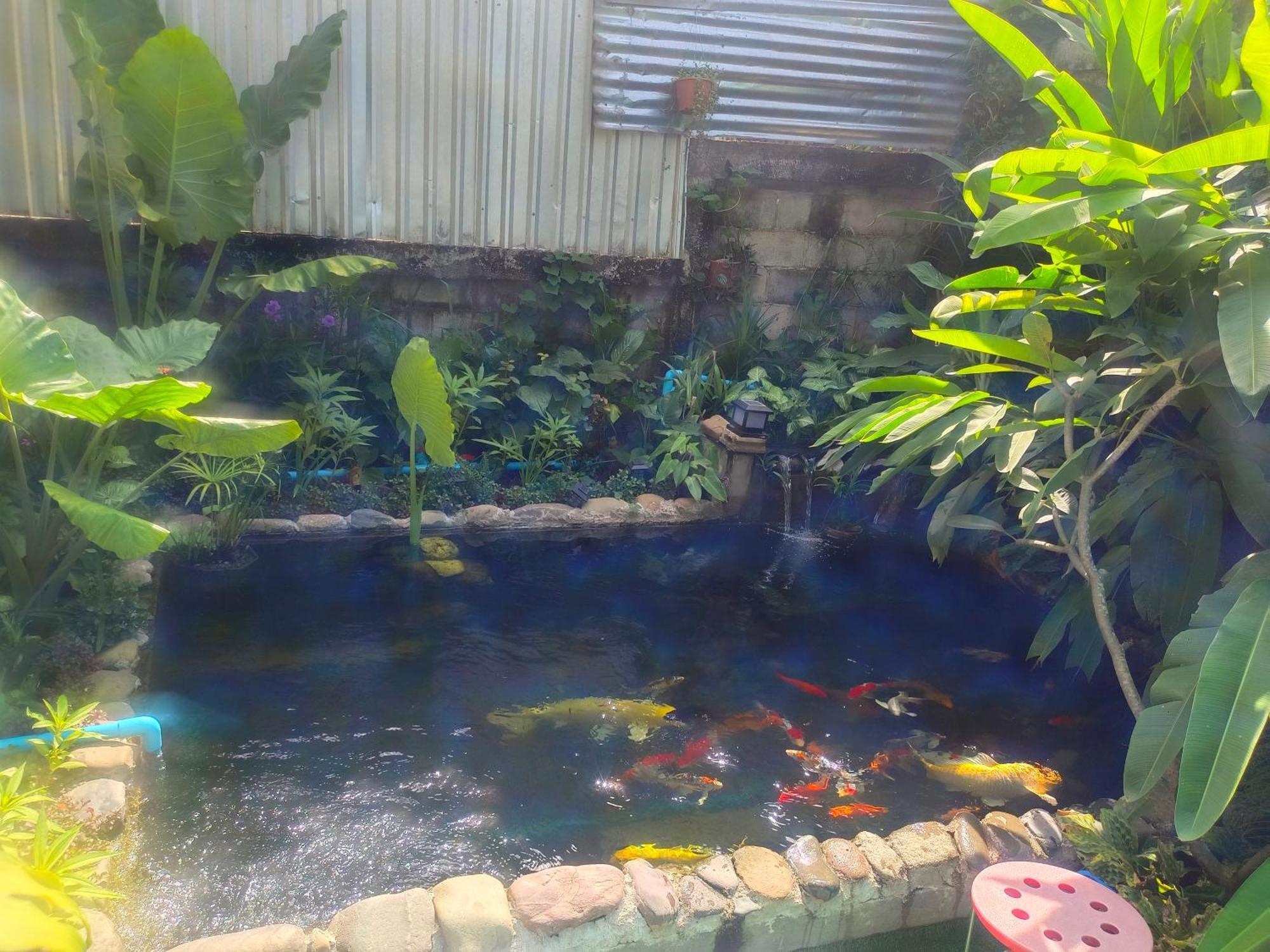 Vang Vieng Champa Hotel エクステリア 写真